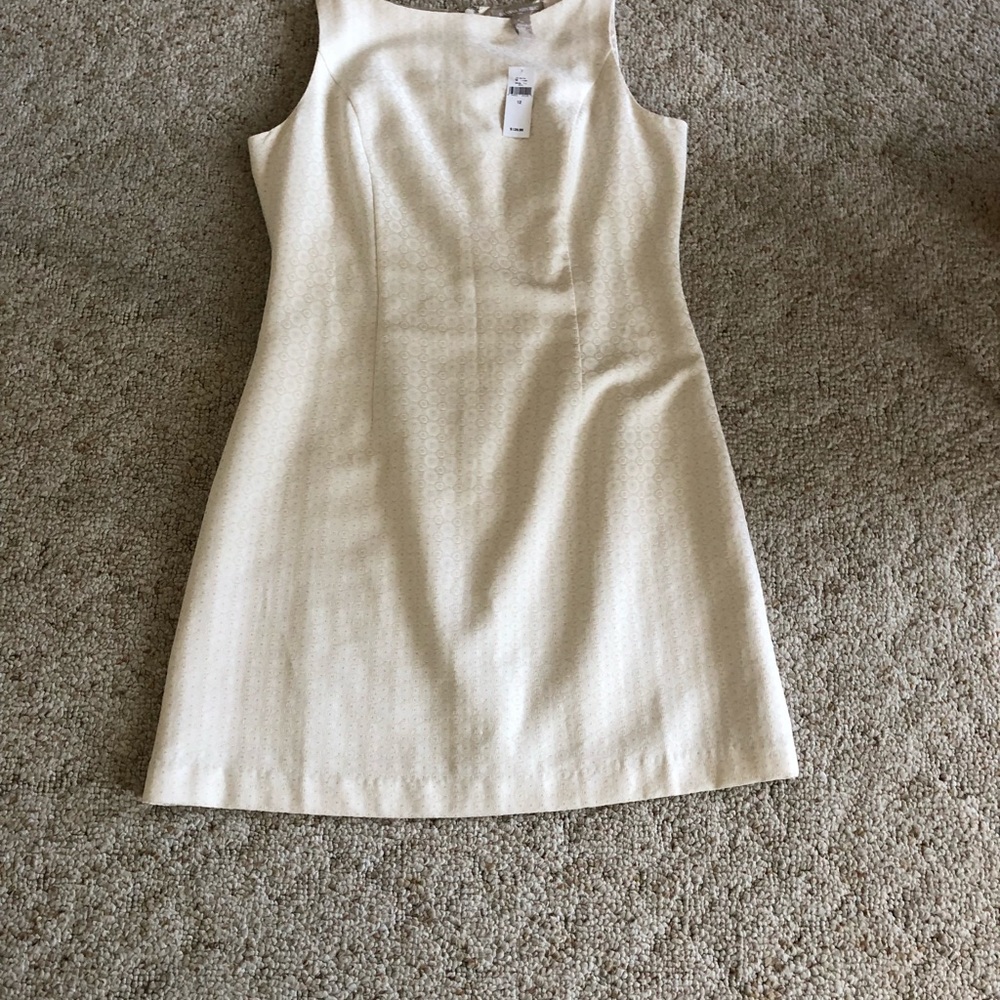 NWT Banana Republic Ivory Sheath Size 12
